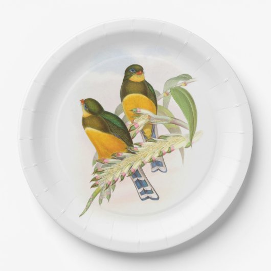 Macklot's Trogon Papieren Bordje (Voorkant)