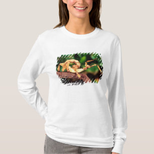 Macleay's Spectre (stekelige wandelende tak) T-shirt
