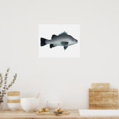 Macquarie Perch Poster (Keuken)