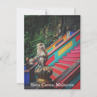 Macque Monkey bij Batu Caves, Maleisië Reizen Briefkaart