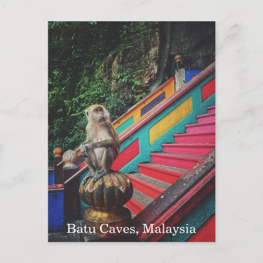 Macque Monkey bij Batu Caves, Maleisië Reizen Briefkaart (Voorkant)