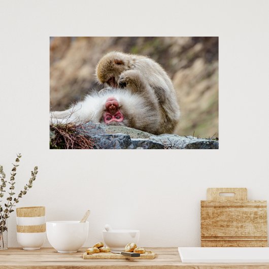 Macque Monkey, het goede leven Poster (Keuken)