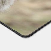 Macque Monkey, Profiter de la bonne vie (Coin)