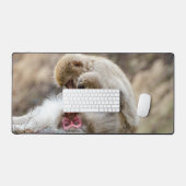 Macque Monkey, Profiter de la bonne vie (Clavier et souris)