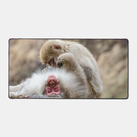 Macque Monkey, Profiter de la bonne vie (Recto)