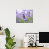 Macro-afbeelding van lavenderbloemen met zeer poster (Thuiskantoor)