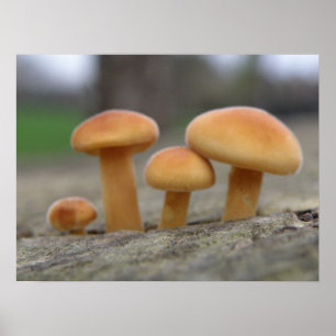 Macro-afdrukken met kleine gereedschappen poster