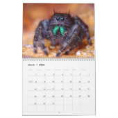 Macro-Amerikaanse wandkalender Kalender (Mar 2026)