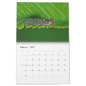 Macro-Amerikaanse wandkalender Kalender (Feb 2027)