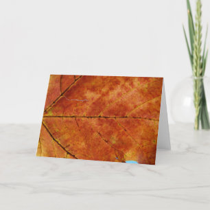 Macro Autumn Leaf Foto Kaart