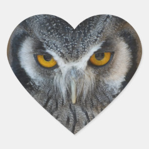 Macro Black en White Owl Hart Sticker