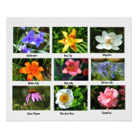 Macro bloemen foto vergroting