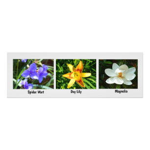 Macro bloemen foto vergroting afdruk