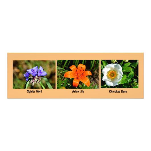 Macro bloemen foto vergroting afdruk (Voorkant)