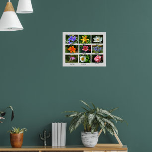 Macro bloemen poster