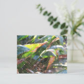 Macro-Briefkaart van Spider Webs Briefkaart (Staand voorkant)