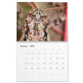 Macro calendrier de photographie de 2019 beautés (Feb 2026)