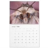 Macro calendrier de photographie de 2019 beautés (Jan 2026)