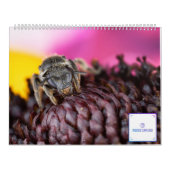 Macro calendrier de photographie de 2019 beautés (Protection)