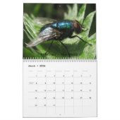 Macro calendrier d'insectes (Mar 2026)