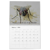 Macro calendrier d'insectes (Feb 2026)