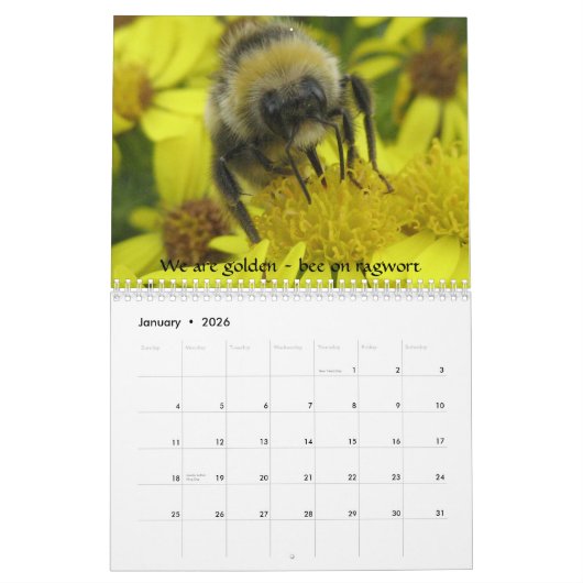 Macro calendrier d'insectes (Jan 2026)