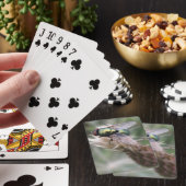 Macro cartes de jeu de mouche verte de bouteille (In Situ)