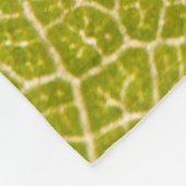 Macro couverture d'ouatine de feuille verte (Coin)