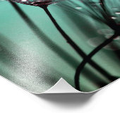 Macro Dandelion Semences d'eau gouttes photo (Coin)