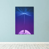 Macro de graines de Dandelion Photo sur toile (Insitu (Plancher de Bois))