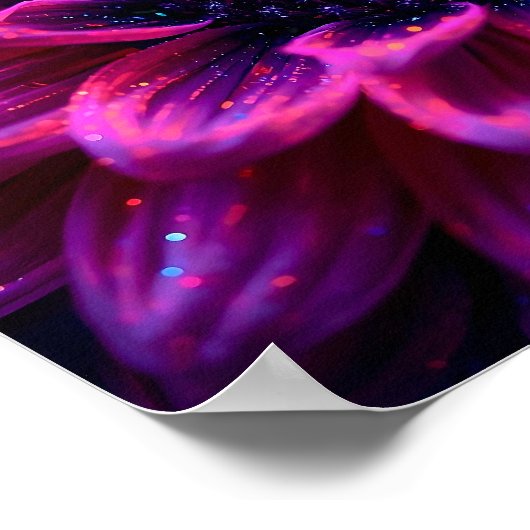 Macro Fuchsia Nebula Poster (Hoek)