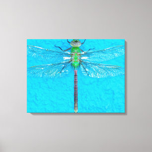 Macro Green Dragonfly op blauwe achtergrond Canvas Afdruk
