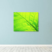 Macro Groen Blad Verpakt Canvas (Insitu (Houten vloer))
