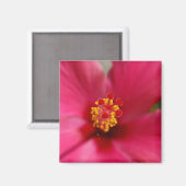 Macro Hibiscus Magnet (Recto/Verso)