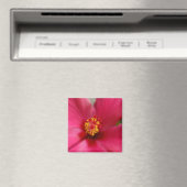 Macro Hibiscus Magnet (In Situ (Lave-vaisselle))