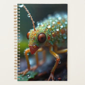 macro insecte forestier (Devant)