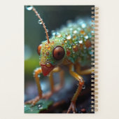 macro insecte forestier (Dos)