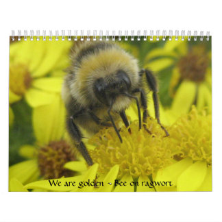 Macro Insects Agenda Kalender