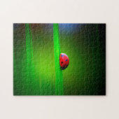 Macro Ladybug couleur, puzzle (Horizontal)