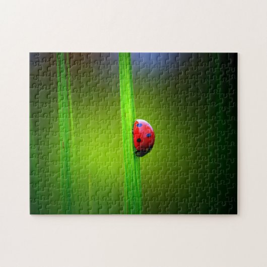 Macro Ladybug couleur, puzzle (Horizontal)