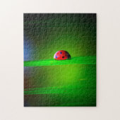 Macro Ladybug couleur, puzzle (Vertical)