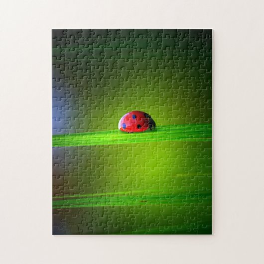 Macro Ladybug couleur, puzzle (Vertical)