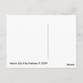 Macro Lily II Briefkaart (Achterkant)
