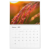 Macro natuur foto's kalender (Feb 2027)