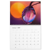 Macro natuur foto's kalender (Jan 2027)
