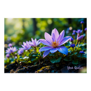 Macro Paarse Bos Wilde Bloemen met Dauw Perfect Poster
