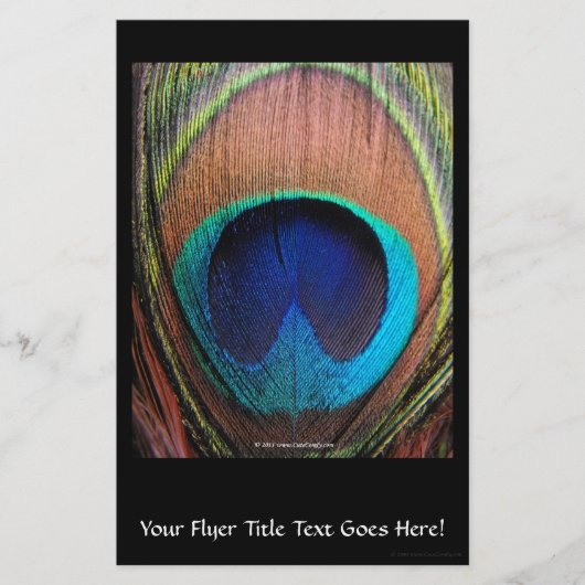 Macro Peacock Feather Rich Blugraphic Flyer (Voorkant)