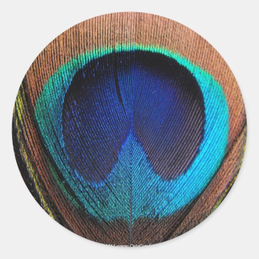 Macro Peacock Feather Rich Blugraphic Ronde Sticker (Voorkant)
