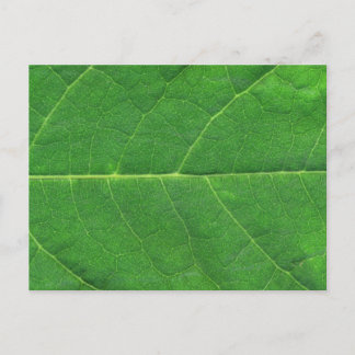 Macro Photo Leaf Briefkaart