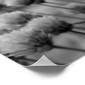 Macro Scallions Floral Noir Blanc Impression (Coin)